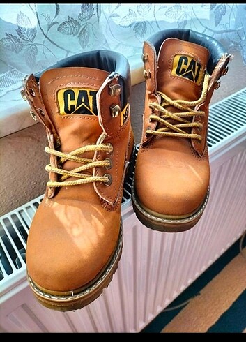 36 Beden camel Renk CAT bot