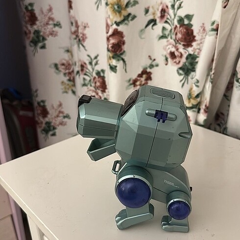  robot köpek