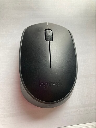 Mouse