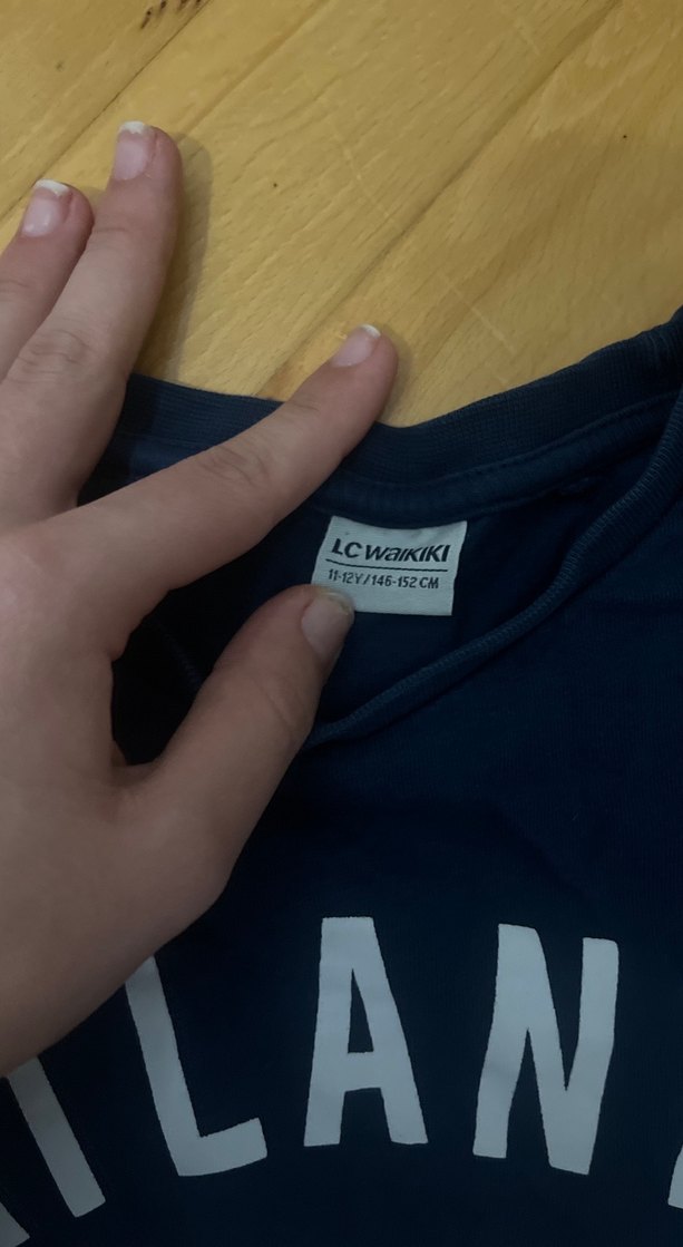 Mavi Baskılı Erkek Sweatshirt - Görsel 2