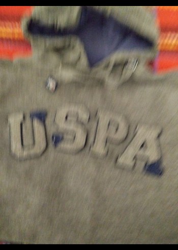 USPA Logolu Gri Erkek Sweatshirt - Görsel 2