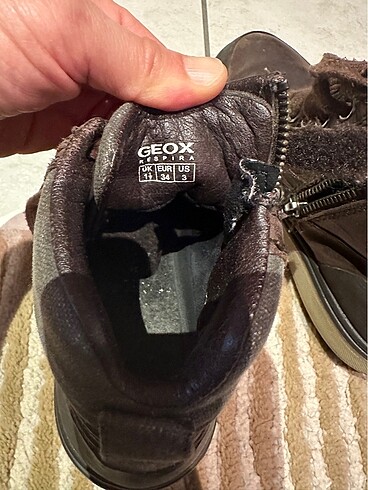 Geox Geox bot
