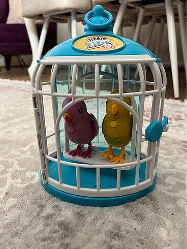 Konuşan kafeste kuş - Görsel 2