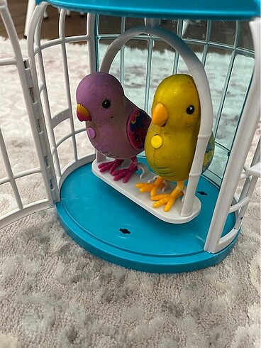 Konuşan kafeste kuş - Görsel 3