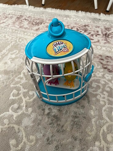 Konuşan kafeste kuş - Görsel 4