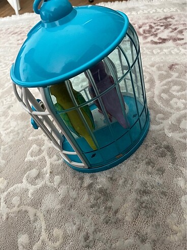 Konuşan kafeste kuş - Görsel 6