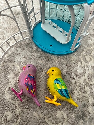 Konuşan kafeste kuş - Görsel 5