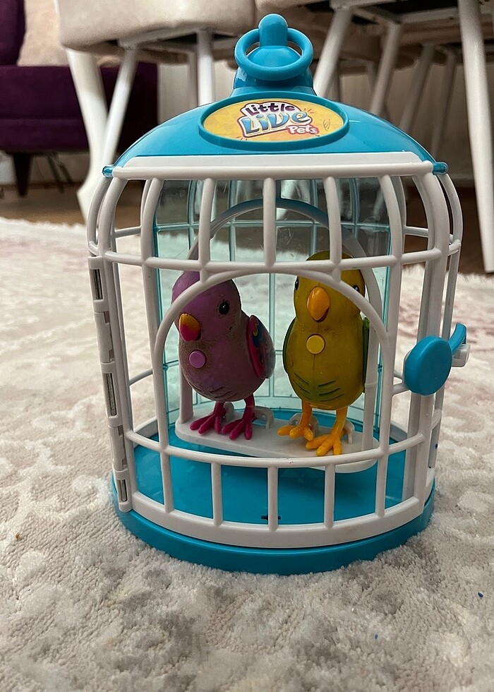 Konuşan kafeste kuş - Görsel 2