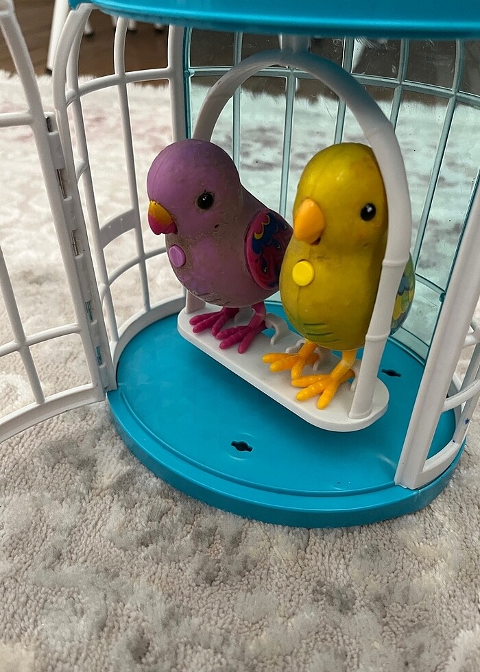 Konuşan kafeste kuş - Görsel 3