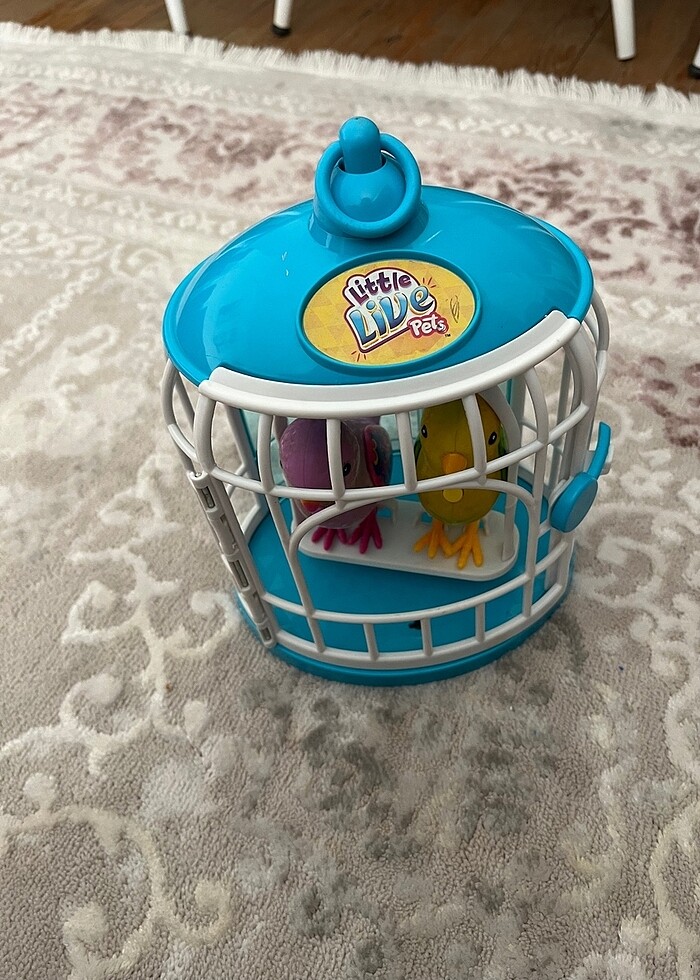 Konuşan kafeste kuş - Görsel 4