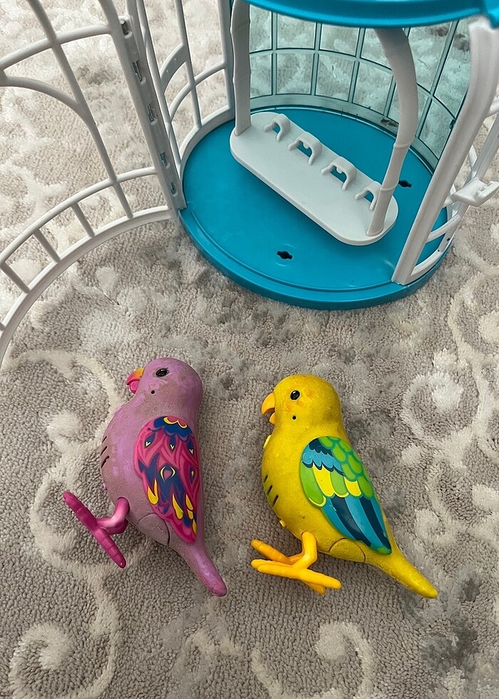 Konuşan kafeste kuş - Görsel 5