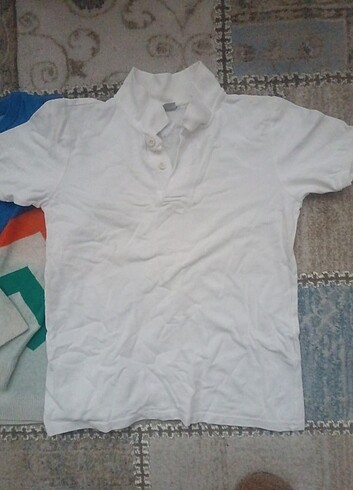 LC Waikiki Kazak ve polo yaka t-shirt