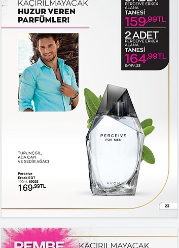 Avon Perceive erkek parfüm