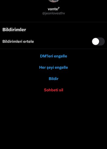 Ozel Ilan