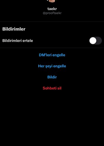Ozel Ilan