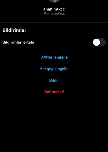 Ozel Ilan