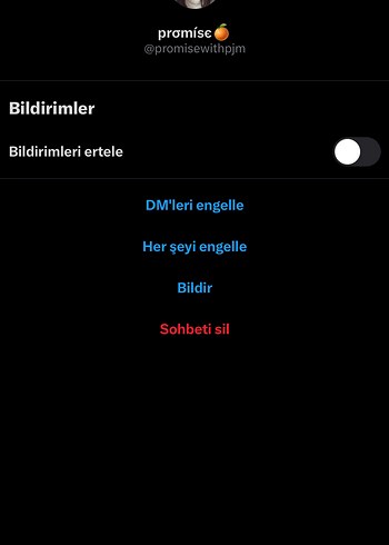 Ozel ilan
