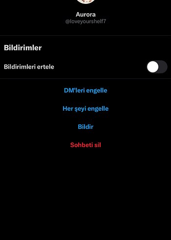 Ozel Ilan