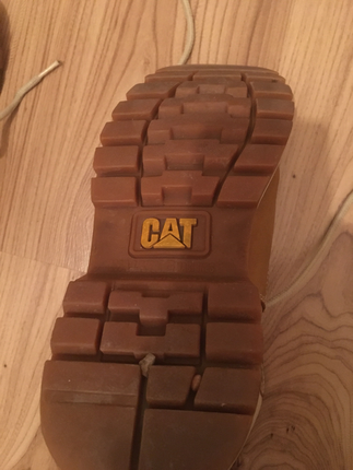 Cat 38 39 uyumlu bot