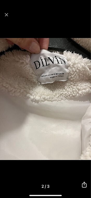 Dilvin pelus mont