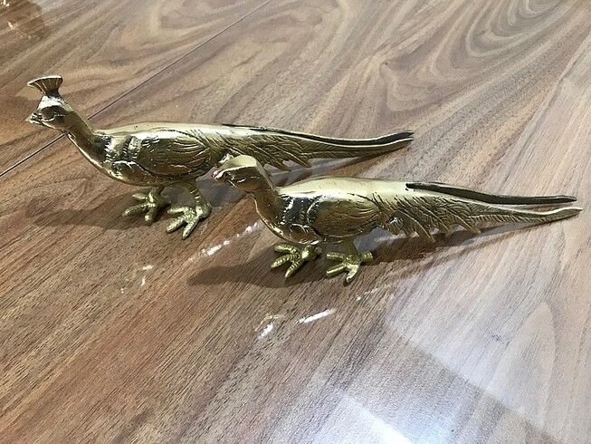Pirinç çiftli sülün