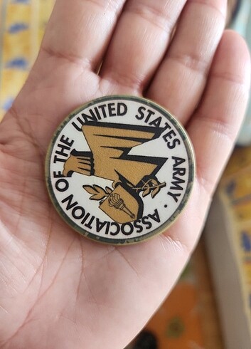 Warrior chip Association of the usa army 