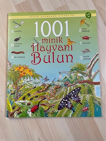 Binbir minik hayvanı bulun