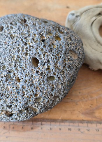 Dekoratif Gözenekli Gri Taş ve Doğal Objeler - Görsel 8