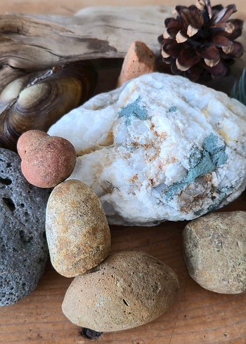 Yeryüzü Hatıraları - Görsel 2