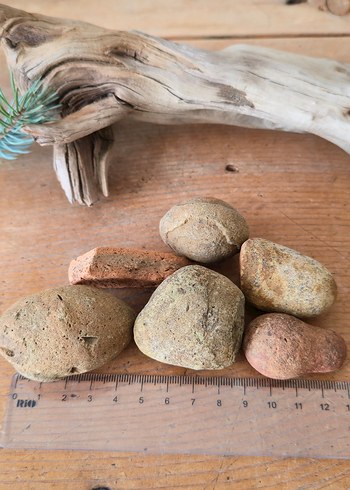 Yeryüzü Hatıraları - Görsel 7