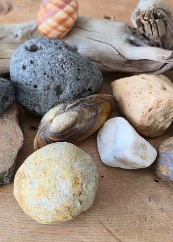 Bej Doğal Taş ve Deniz Kabukları Dekorasyonu - Görsel 5