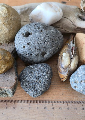 Bej Doğal Taş ve Deniz Kabukları Dekorasyonu - Görsel 6