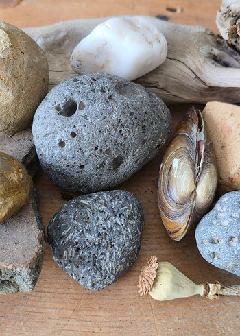 Bej Doğal Taş ve Deniz Kabukları Dekorasyonu - Görsel 4