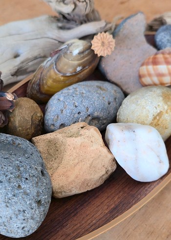 Bej Doğal Taş ve Deniz Kabukları Dekorasyonu - Görsel 3