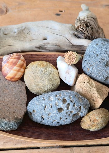 Bej Doğal Taş ve Deniz Kabukları Dekorasyonu - Görsel 2