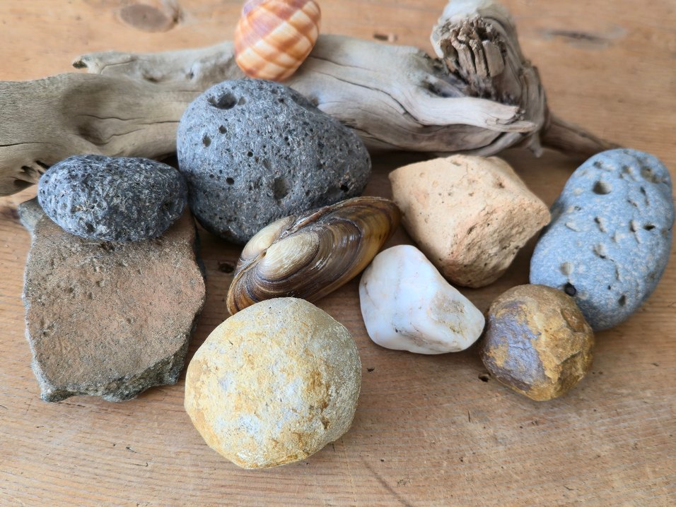 Bej Doğal Taş ve Deniz Kabukları Dekorasyonu - Görsel 5