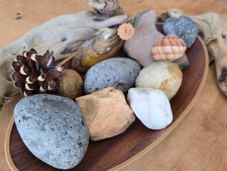 Bej Doğal Taş ve Deniz Kabukları Dekorasyonu - Görsel 3