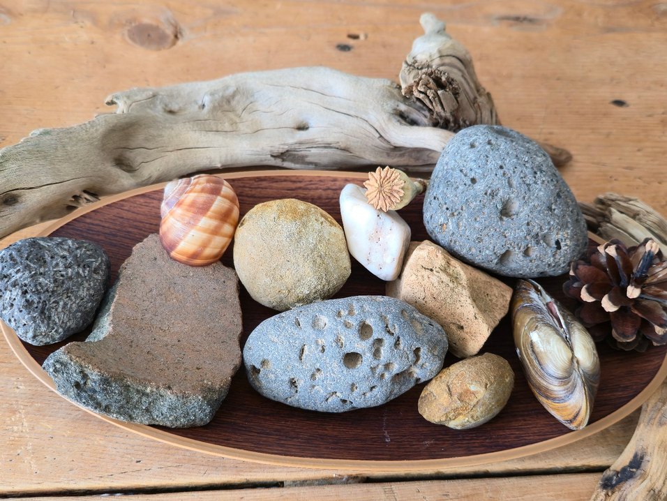 Bej Doğal Taş ve Deniz Kabukları Dekorasyonu - Görsel 2