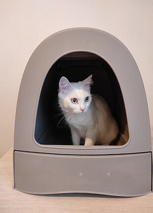 İmac zuma çekmeceli kedi tuvaleti 200 TL