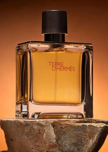 Hermes Terre D'Hermes Edt 50 Ml Parfüm