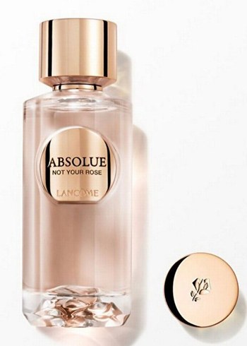 Lancome Absolue Not Your Rose Edp 100 Ml Parfüm