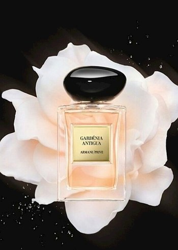 Armani Gardenia Antigua 100 Ml Edt Parfüm