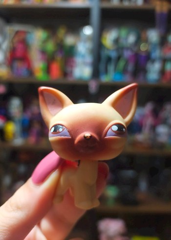 lps miniş 01 numara ilk Miniş