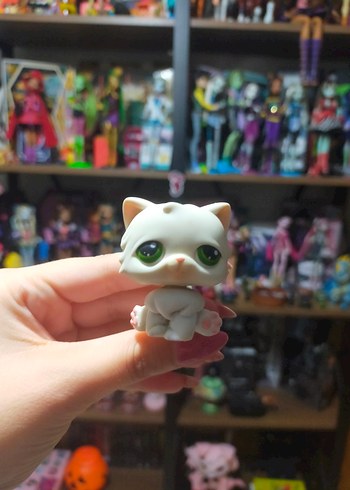 lps miniş persian kedi