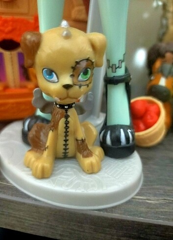 Beden Frankie basic monster high