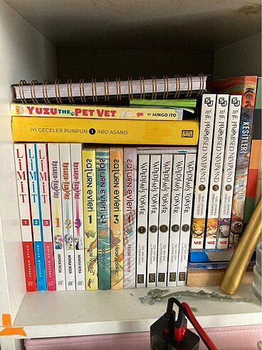 ingilizce ve türkçe manga