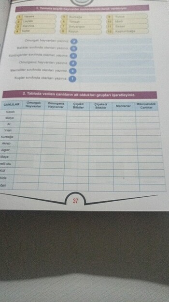 Feb bilimleri isem