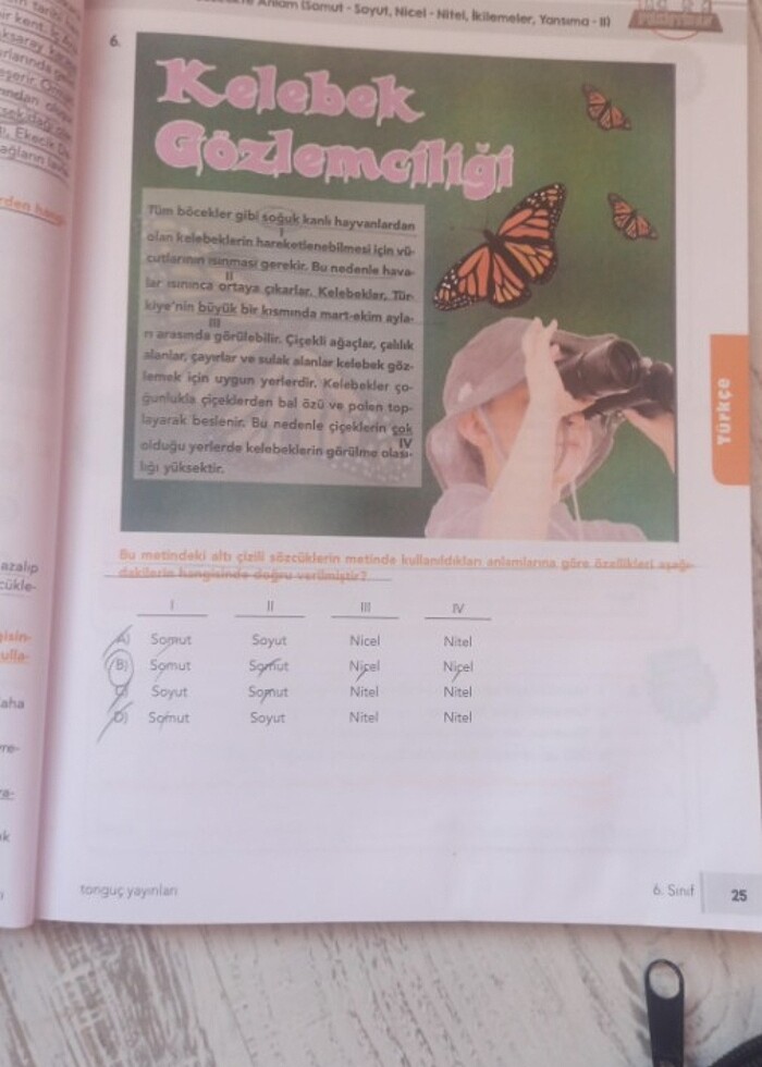 Türkçe tonguç 6 - Görsel 3