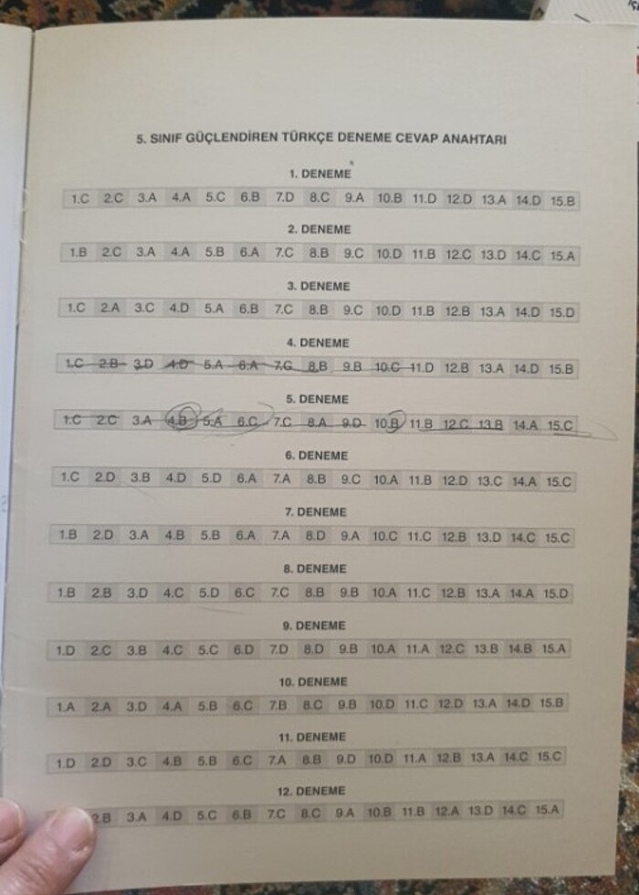 Türkçe deneme 5 - Görsel 4