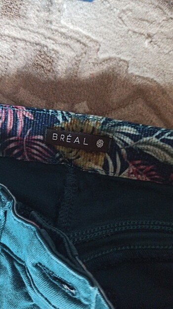 Barbour Kot pantolon